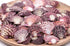 red white scallop shells 1 kg